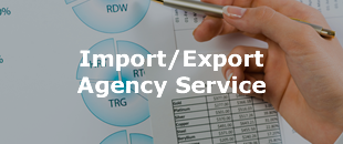 Import/Export Agency Service